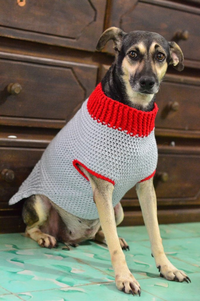 medium size dog sweater