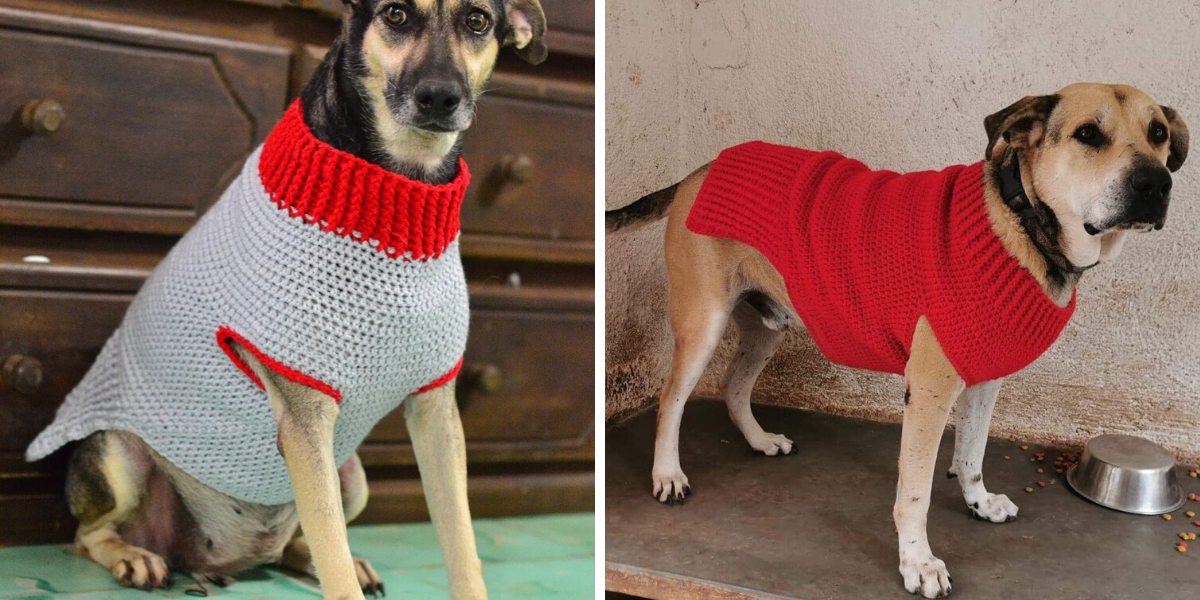 Dog Sweater Crochet Pattern in 6 Sizes - Crochet It Creations